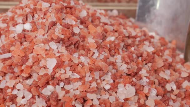 Raw Dried Pink Himalayan Salt — Stockvideo