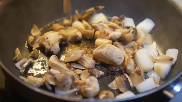 Cozinhar Cogumelo Uma Panela Cozinha — Vídeo de Stock