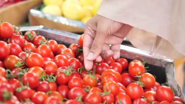 Kobiety Wybierają Dojrzałe Pomidory Rynku — Wideo stockowe