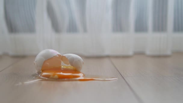 Φρέσκο Σπασμένο Αυγό Στο Πάτωμα Της Κουζίνας — Αρχείο Βίντεο