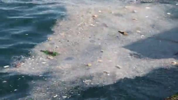 Ρύπανση Των Υδάτων Σκουπίδια Στα Ύδατα — Αρχείο Βίντεο