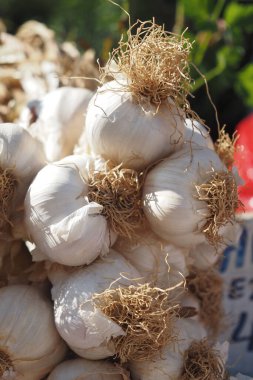 Beyaz arkaplanda pf sarımsağı kapat,,