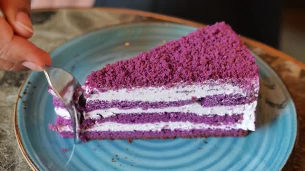 Cutting Piece Purple Velvet Cake Cream — Stock Video