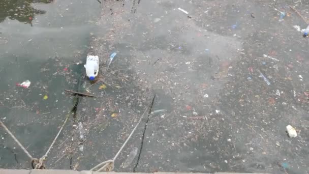 Polusi Air Dengan Sampah Atas Air — Stok Video
