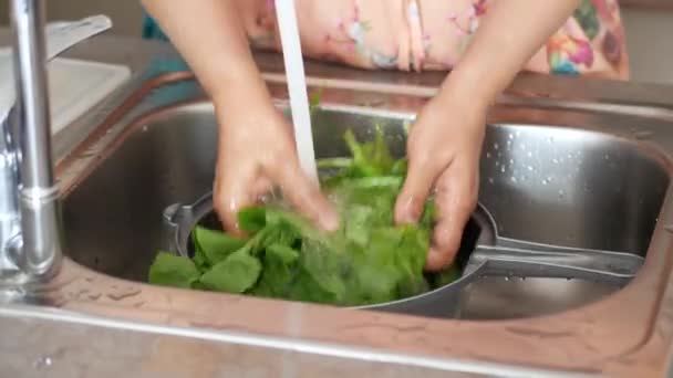 Kobiety Myjące Świeże Liście Szpinaku Gorącą Wodą — Wideo stockowe