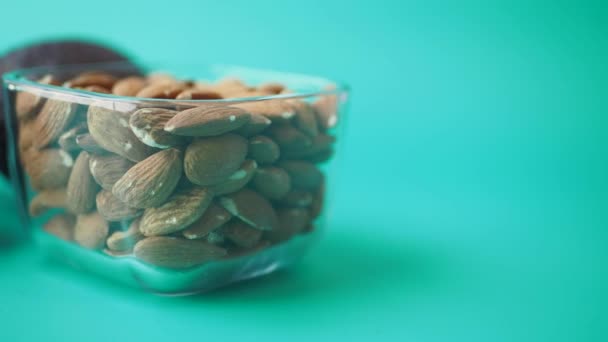 Close Slice Avocado Almond Nuts Container — Stock Video