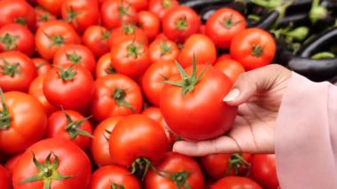 Kadınlar pazarda olgun domates seçiyor.,