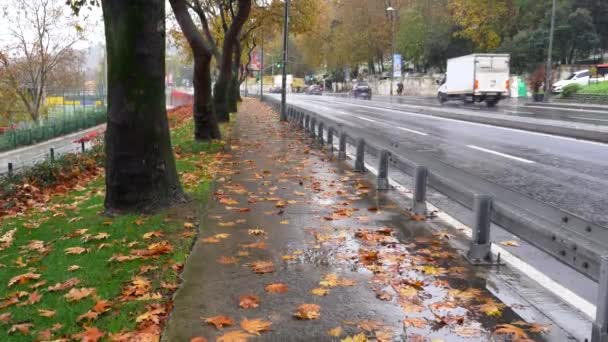 Индейка Istanbul Декабря 2023 Fallen Листья Footpath Istanbul — стоковое видео