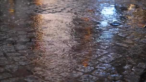 Vatten Droppar Den Regniga Dagen Nattutsikt Staden Selektivt Fokus — Stockvideo
