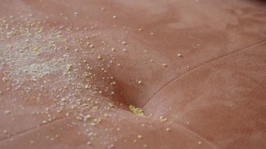 Kirli leke ya da toz gri koltukta.