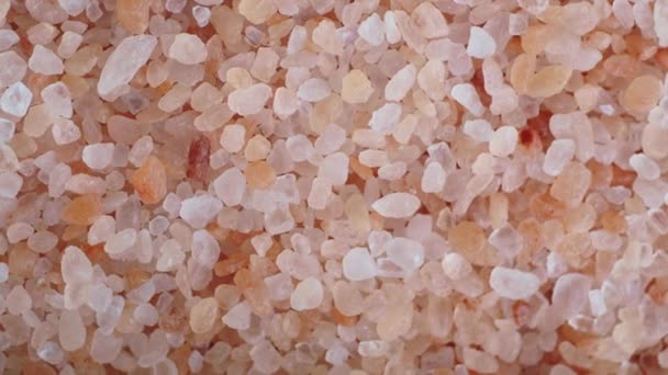 Raw Dried Pink Himalayan Salt — Stock videók