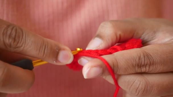 Χέρι Κοντά Crocheting Ένα Ροζ Γάντζο Μαλλί Νήματα Δημιουργική Τέχνη — Αρχείο Βίντεο