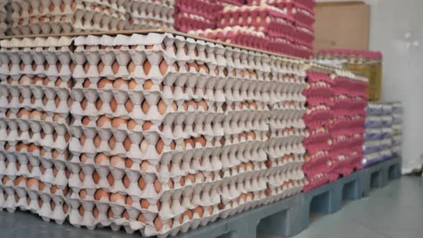 Huevos Supermercado Una Gran Cantidad Bandejas Cartón Huevos — Vídeos de Stock