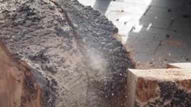 Bir kütük kesme testere yavaş hareket .