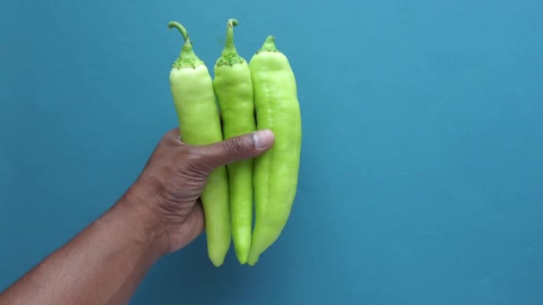 Muži Ruku Vybrat Zelenou Barvu Capsicum — Stock video
