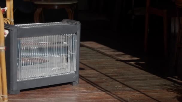 Σύγχρονη Ηλεκτρική Υπέρυθρη Θερμάστρα Στο Σαλόνι Closeup Υψηλής Ποιότητας Φωτογραφία — Αρχείο Βίντεο