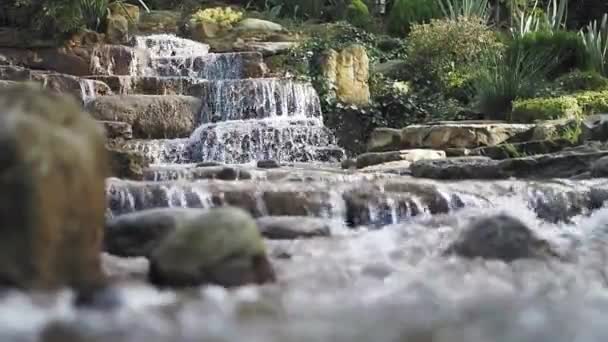 离岛公园的小瀑布 — 图库视频影像