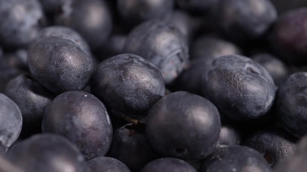 Nahaufnahme Von Frischen Blauen Beeren Einer Schüssel Auf Dem Tisch — Stockvideo