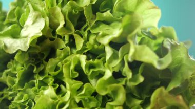 Masanın üzerinde yeşil marul yaprakları var. ,