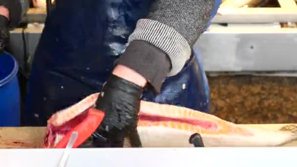 Limpieza Pescado Para Cocinar Más — Vídeo de stock