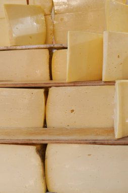 dükkan penceresinde bir sürü peynir türü.