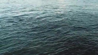 Deniz dalgaları ekin .