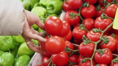 Kadınlar pazarda olgun domates seçiyor.,