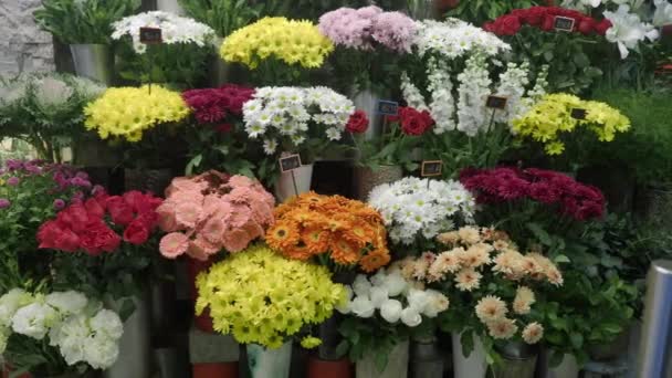 Blomsteraffär Istanbul Blomsterutställning För Försäljning Street Shop — Stockvideo