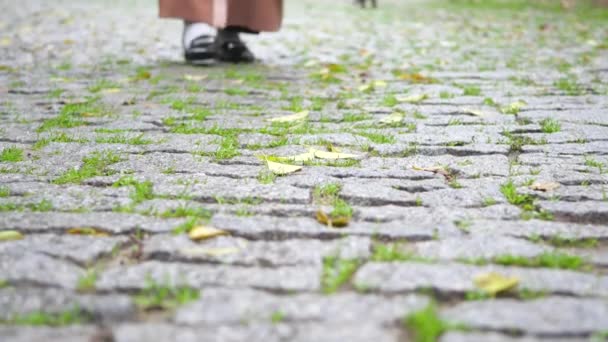 Kobieta Chodząca Brukowej Alei — Wideo stockowe