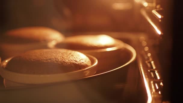Magdalenas Chocolate Hornear Horno Cocinar Cupcakes Marrones — Vídeo de stock