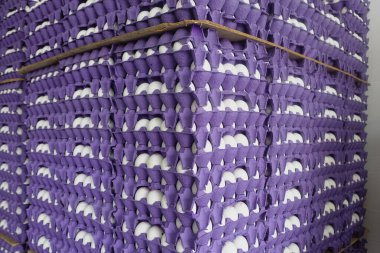 Süpermarkette bir sürü yumurta karton tepsi var..