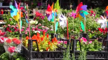 Canlı ve renkli bir bahçe çocuk odası. Canlı yel değirmenleri ve çeşitli çiçek çeşitleri..