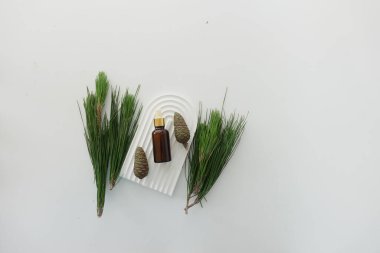 Beyaz arka planda bir şişe çam yağı ve ağaç dalı.