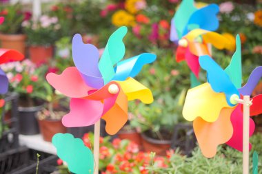 Canlı fırıldaklar çiçeklerin arasında dönüyor, canlı bir atmosfer yaratıyor.