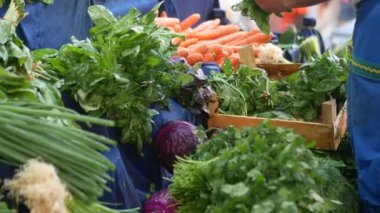Marketlerde sergilenen ıspanak, marul ve patlıcan gibi renkli taze yapraklı sebzeler.