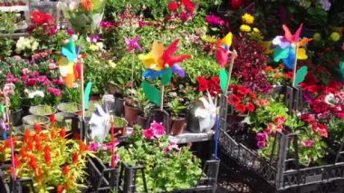 Canlı ve renkli bir bahçe çocuk odası. Canlı yel değirmenleri ve çeşitli çiçek çeşitleri..