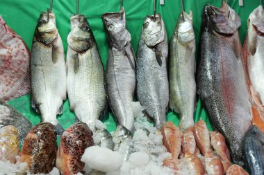 Yerel markette buzda taze balık .