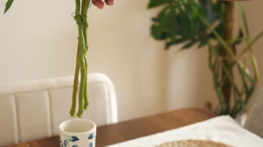 Bitkisel bir vazo ahşap bir masanın üzerinde duruyor ve iç tasarıma biraz yeşillik katıyor. Dikdörtgen masa takımı, dal gibi bir dal düzeniyle doğal görünümü tamamlıyor.