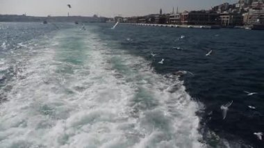 Bir tekne engin okyanus boyunca seyahat eder, sakin mavi sularda ardında köpüklü bir iz bırakır.