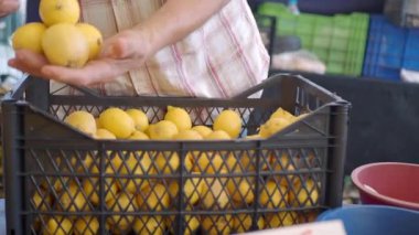 Çiftçi pazarında, birisi ahşap bir kasadan olgun, sarı limonlar seçiyor.