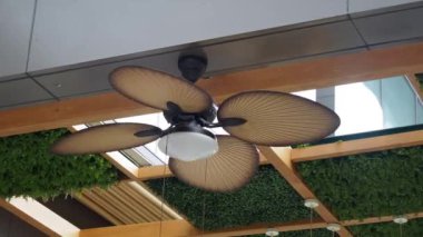 Modern iç dekora karşı dizilmiş dört pervanesi ve lamba armatürü olan zarif rattan tavan vantilatörü..