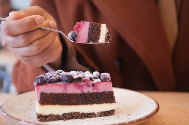 Üzeri yaban mersinli ve tabakta şekerle tozlanmış lezzetli bir dilim çilekli kek..