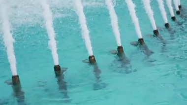 Dinamik su püskürtüleri, sakin bir su havuzunda çarpıcı bir görüntü yaratarak atmosferi güçlendirir.