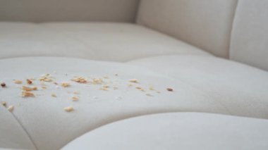 Kanepede kirli bir leke ya da toz .