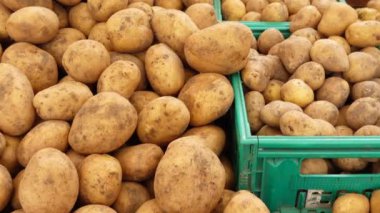 Canlı yeşil sepetlerde güzel bir şekilde sergilenen taze biçilmiş patates koleksiyonu.