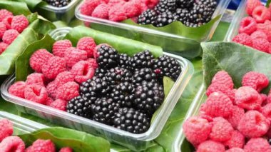 Canlı ahududu ve sulu böğürtlen dolu bir pazarda sepetlerde sergilenir.