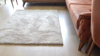 Lüks bir halısı ve modern bir kanepesi olan şık bir oturma odası. Rahatlamaya ve rahatlamaya davetiye çıkarıyor.