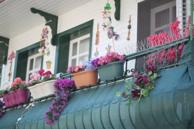 Büyüleyici bir balkon bahçesi. Canlı çiçekler, saksılar ve asma süslemelerle süslenmiş..