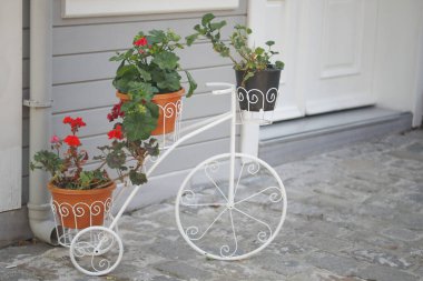 Güzel tasarlanmış bir bisiklet ekicisi canlı saksı çiçekleri sergiliyor.