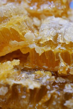 Taze balı kavanozda kapatıyoruz. .